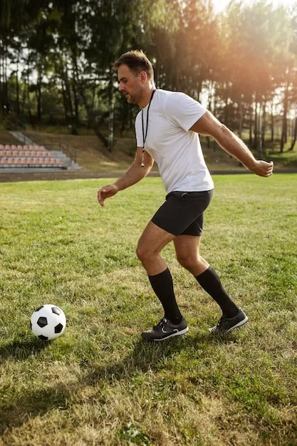 爱游戏体育APP 应用预览